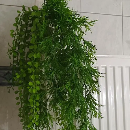Apartman La Casa Sull' Isola Zákinthosz